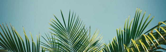 Fueling her way to the Kona start line - Team Octagon – Gillian Micoli