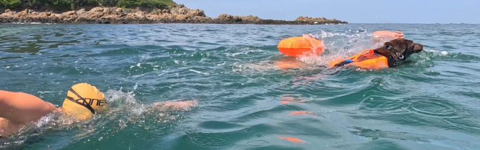 Indi is swimming with her dog Pepper